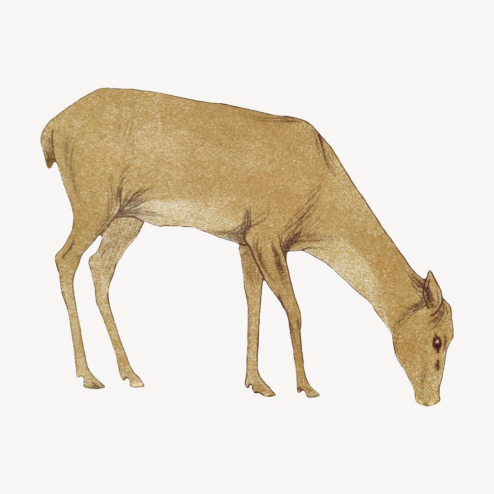 Deer sticker, vintage animal illustration  vector