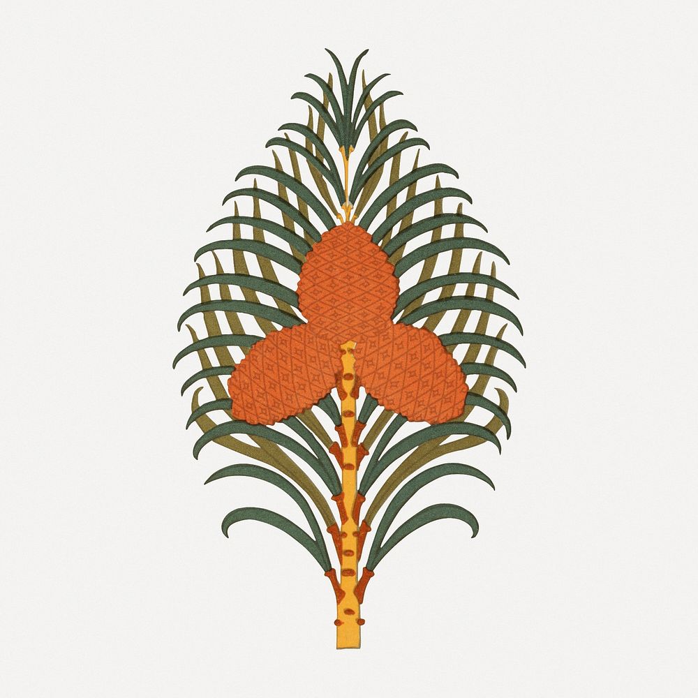 Exotic plant sticker, botanical illustration psd