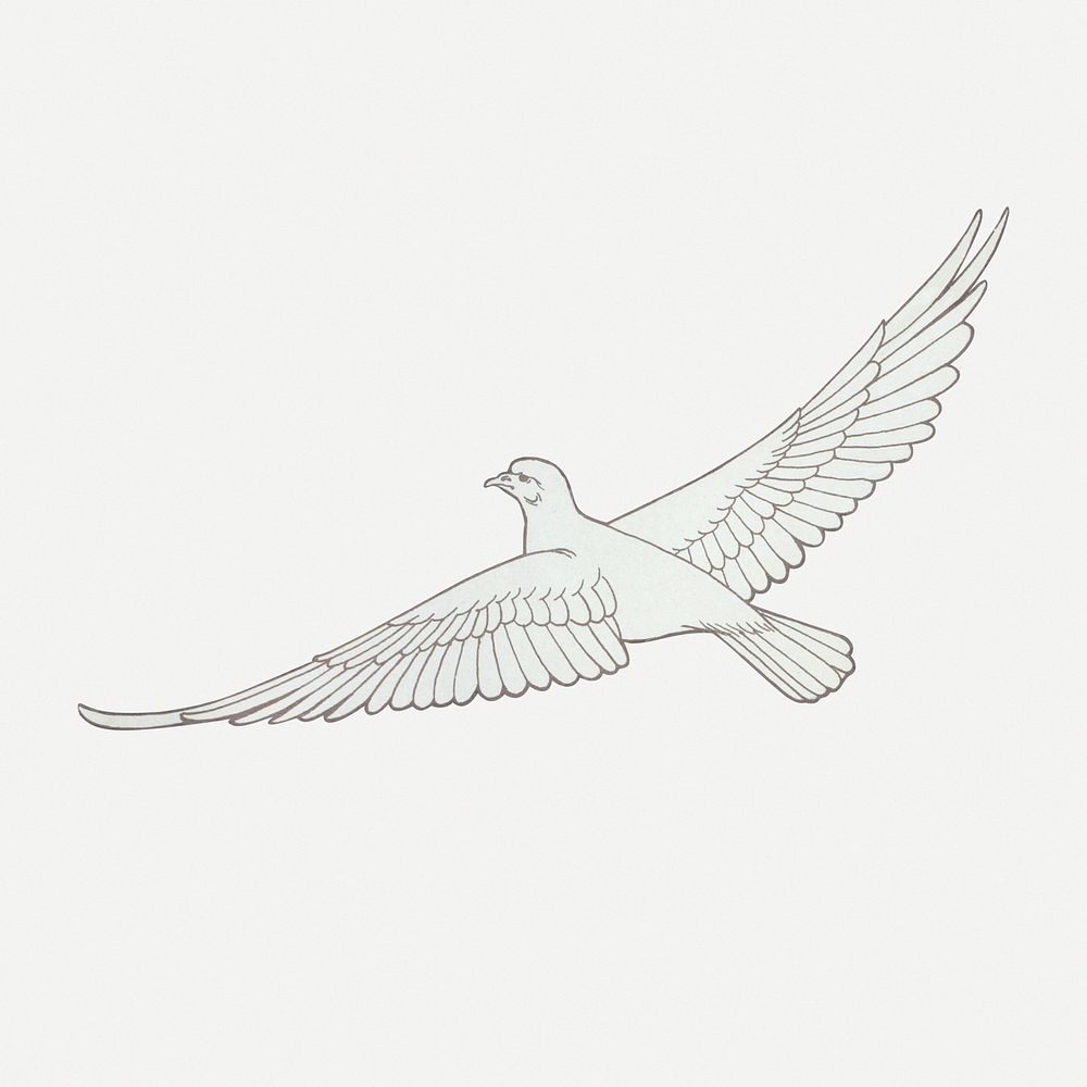 Flying dove bird sticker, vintage animal illustration psd