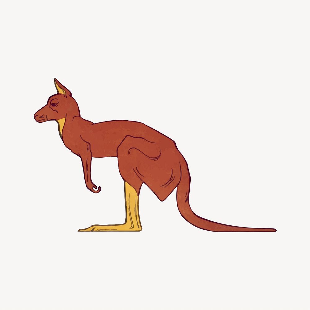 Kangaroo sticker, vintage animal illustration  vector