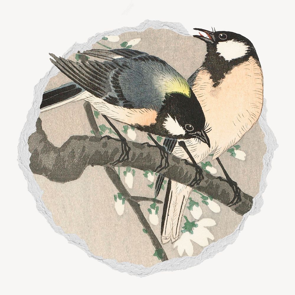 Tits on Cherry Branch ripped paper badge, painting by Ohara Koson remixed by rawpixel