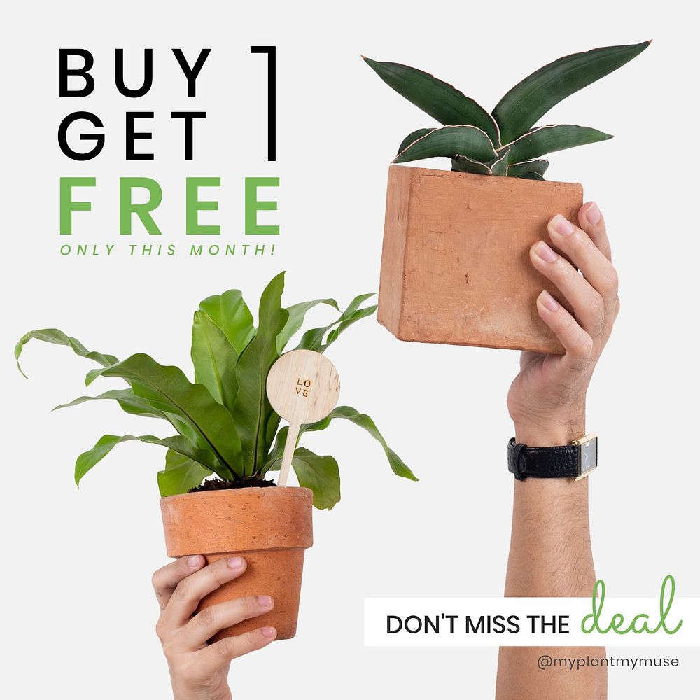 Online houseplant shop template vector with buy 1 get 1 free