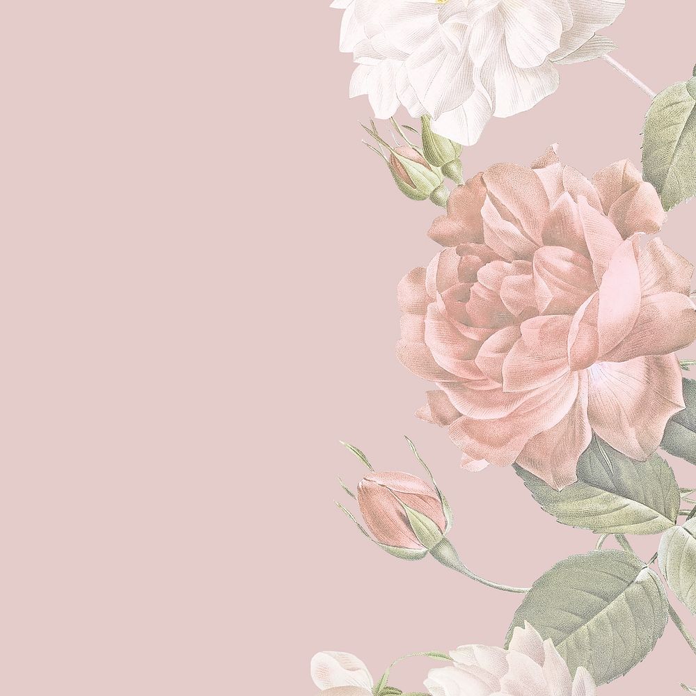 Vintage rose background, flower border in aesthetic design