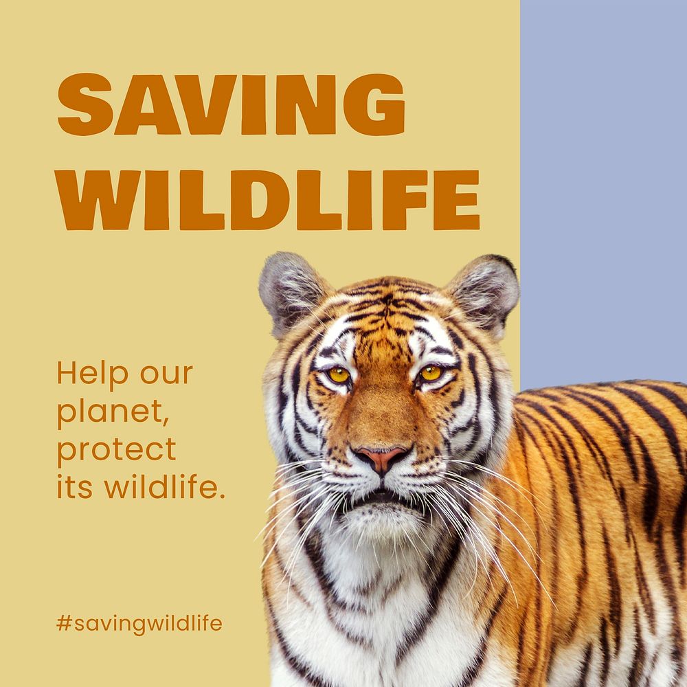 Saving wildlife Instagram post template for social media advertisement vector