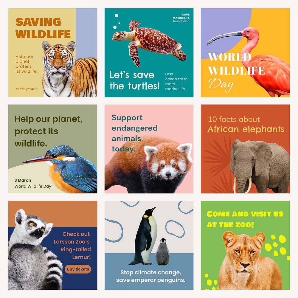 Animal protection Instagram story templates, wildlife conservation design set psd