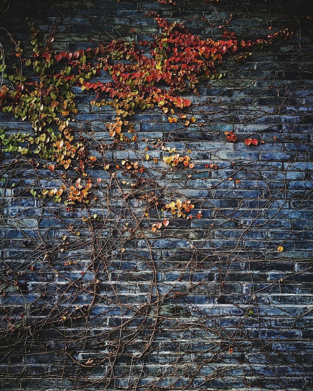 Autumn leaves on brick wall. Original public domain image from Wikimedia Commons
