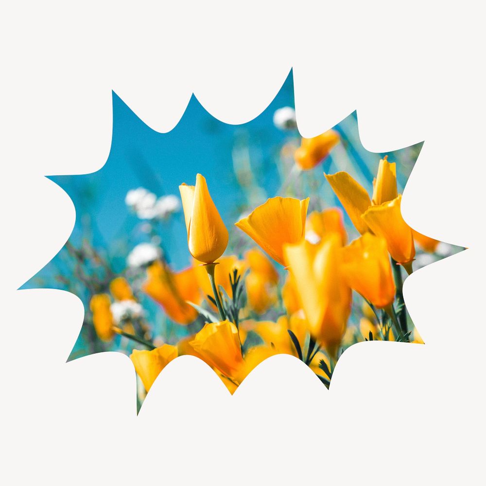 Yellow tulip field bang  shape badge, Spring photo 