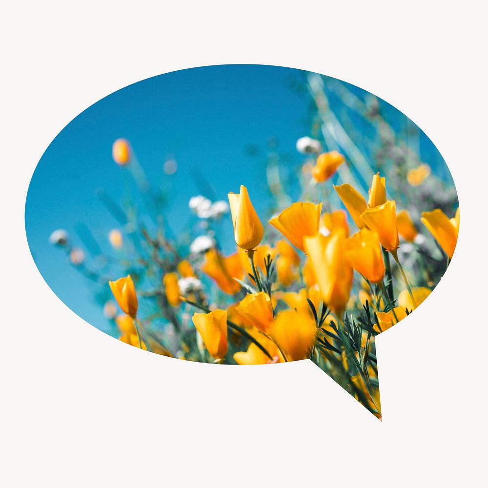 Yellow tulip field speech bubble badge, Spring photo