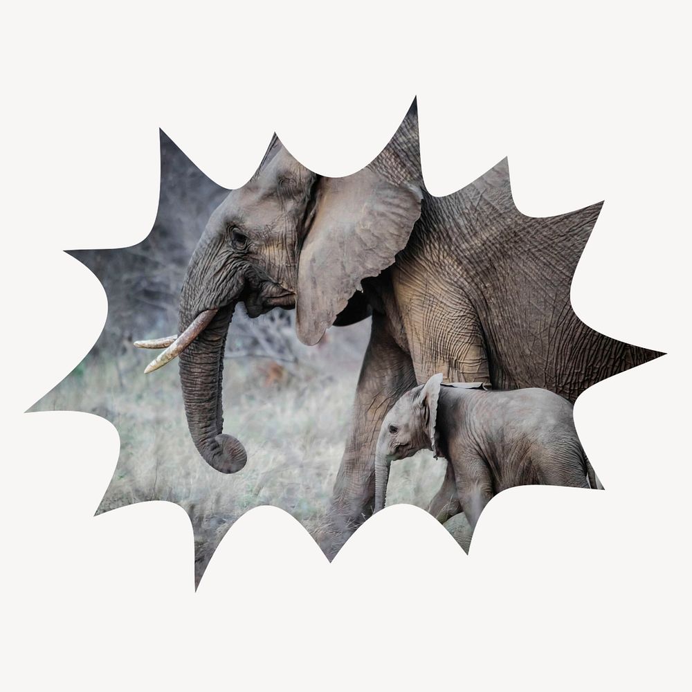 Mother, baby elephants bang  shape badge, wildlife photo 