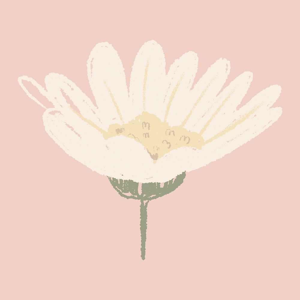 Daisy white flower sticker psd hand drawn illustration