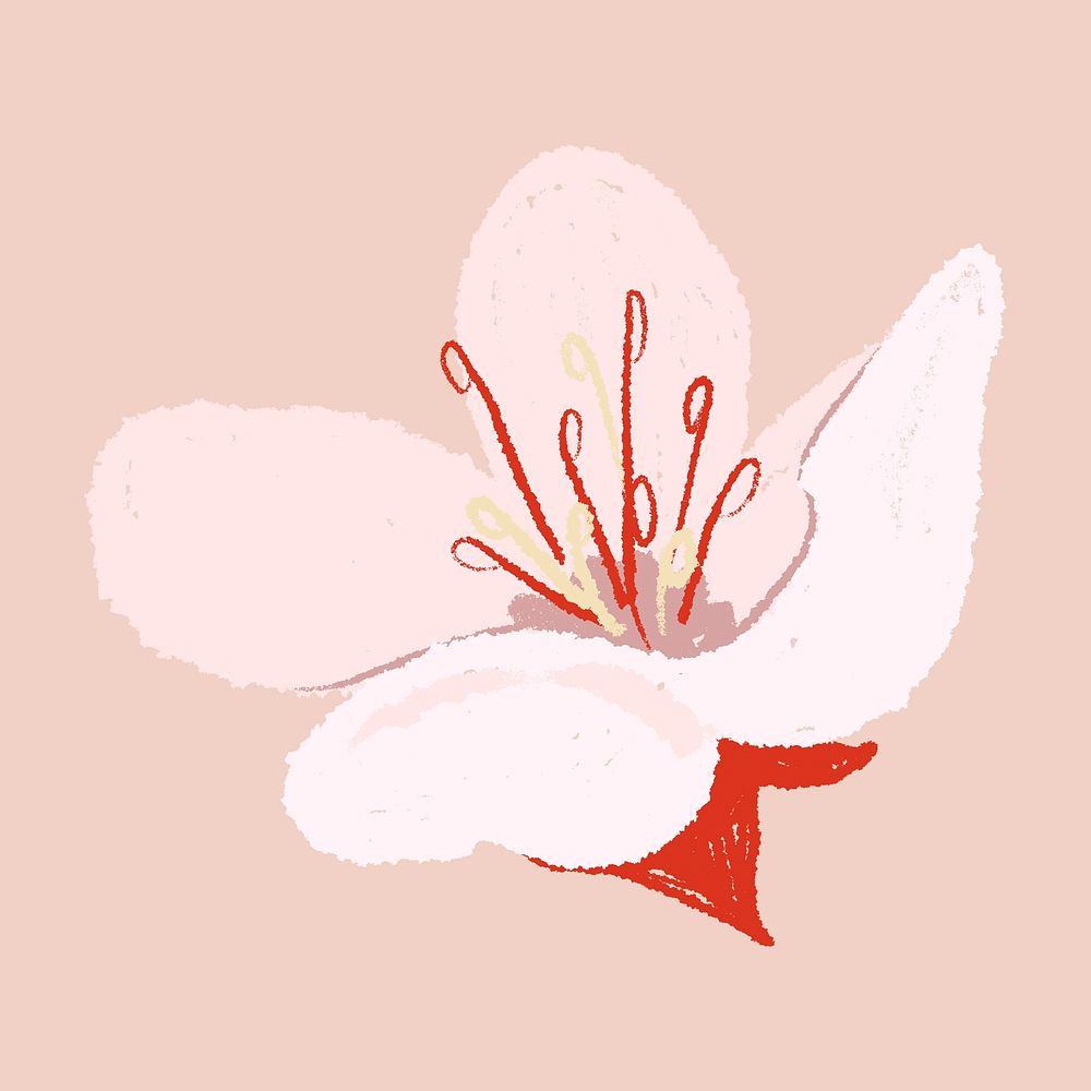 Cherry blossom pink sticker psd hand drawn flower illustration