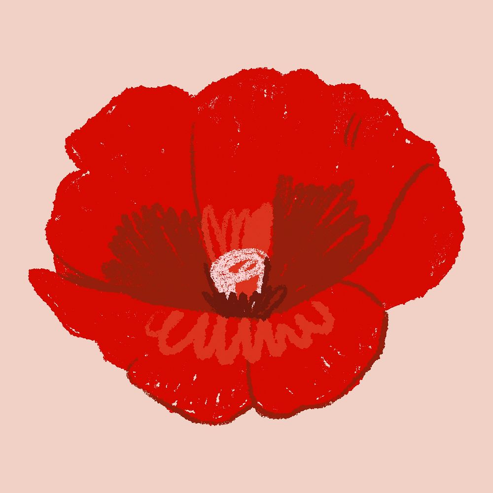 Poppy red flower sticker psd hand drawn illustration