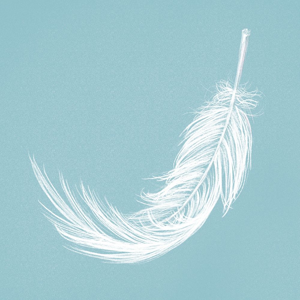 Hand drawn white feather psd on blue background