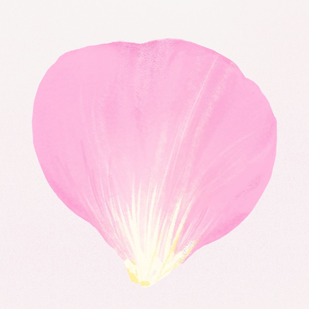 Pink flower petal illustration psd