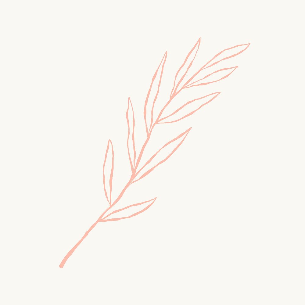 Eucalyptus leaf branch psd aesthetic doodle illustration