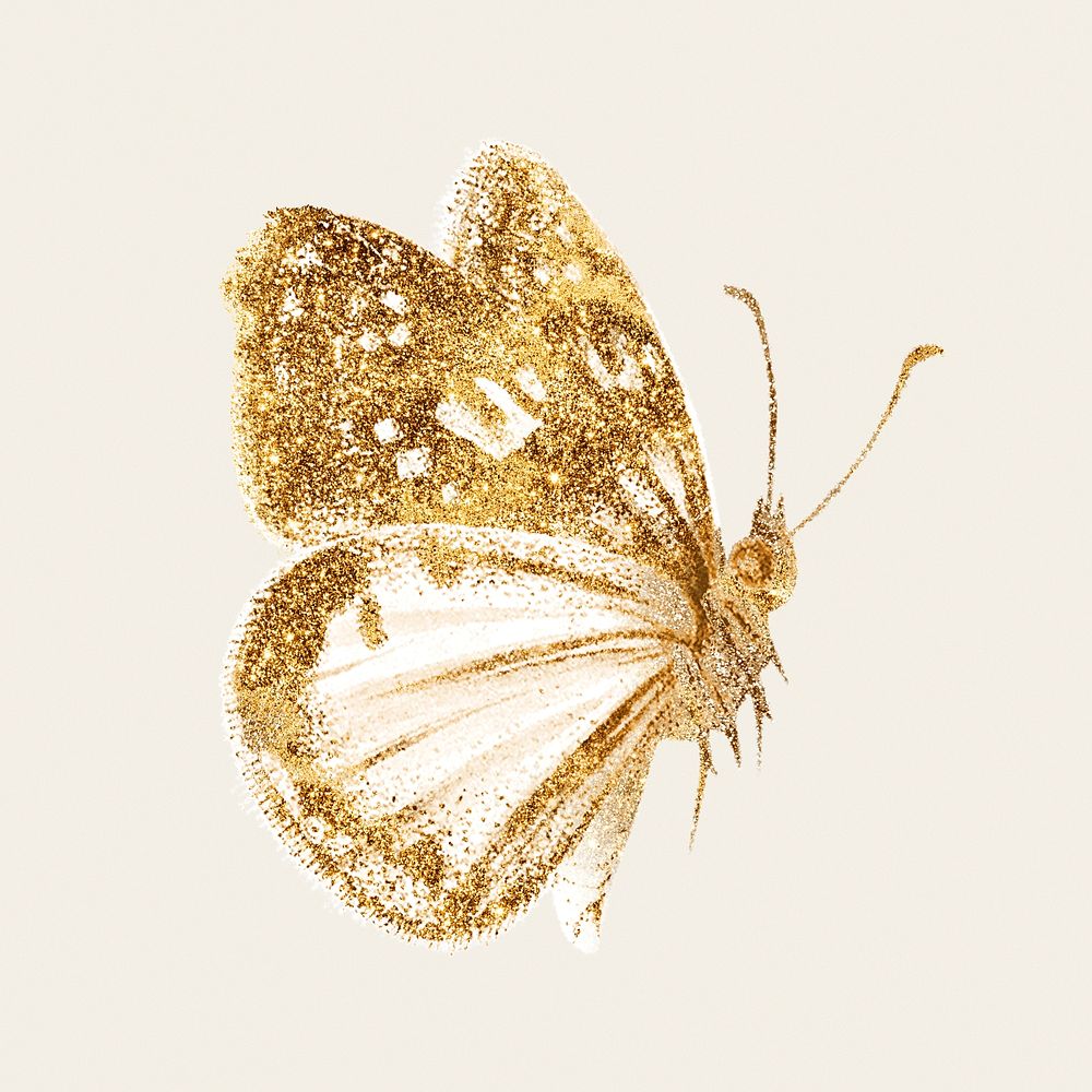 Gold butterfly psd sparkly diary sticker