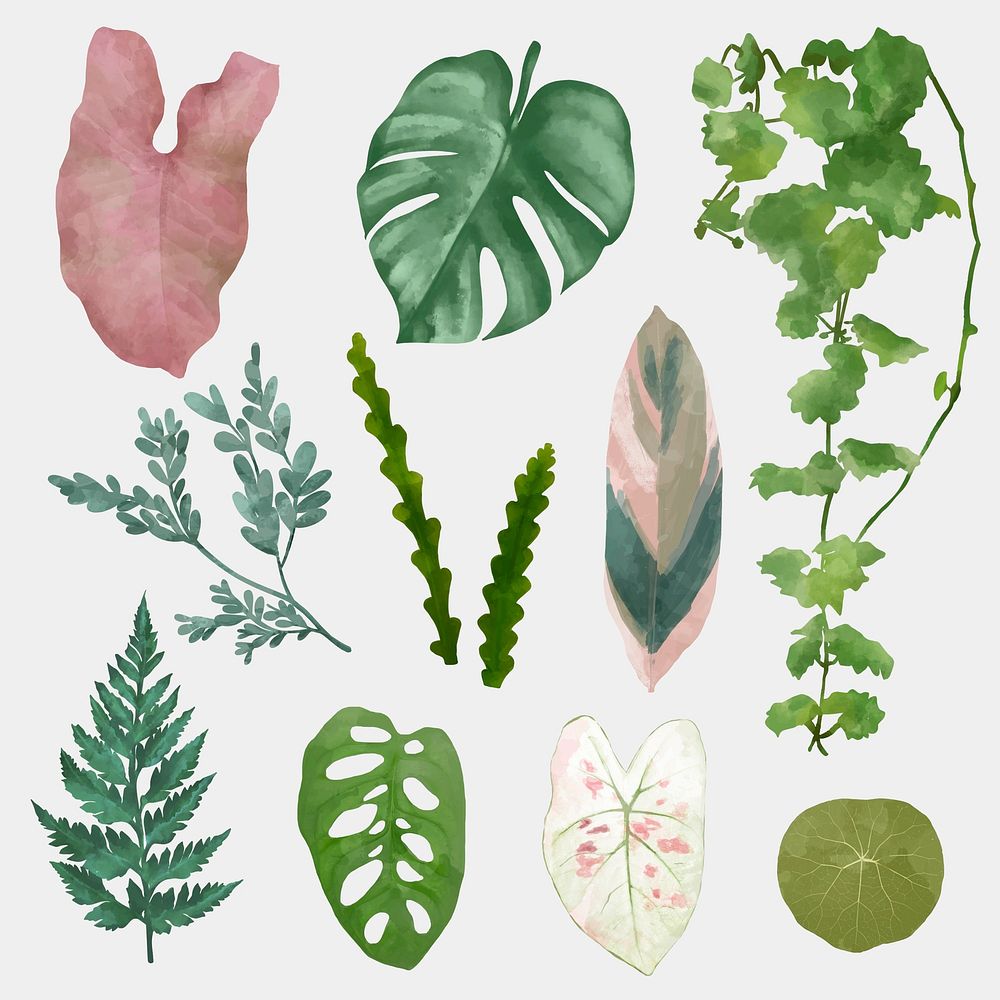 Plant leaf element vector set