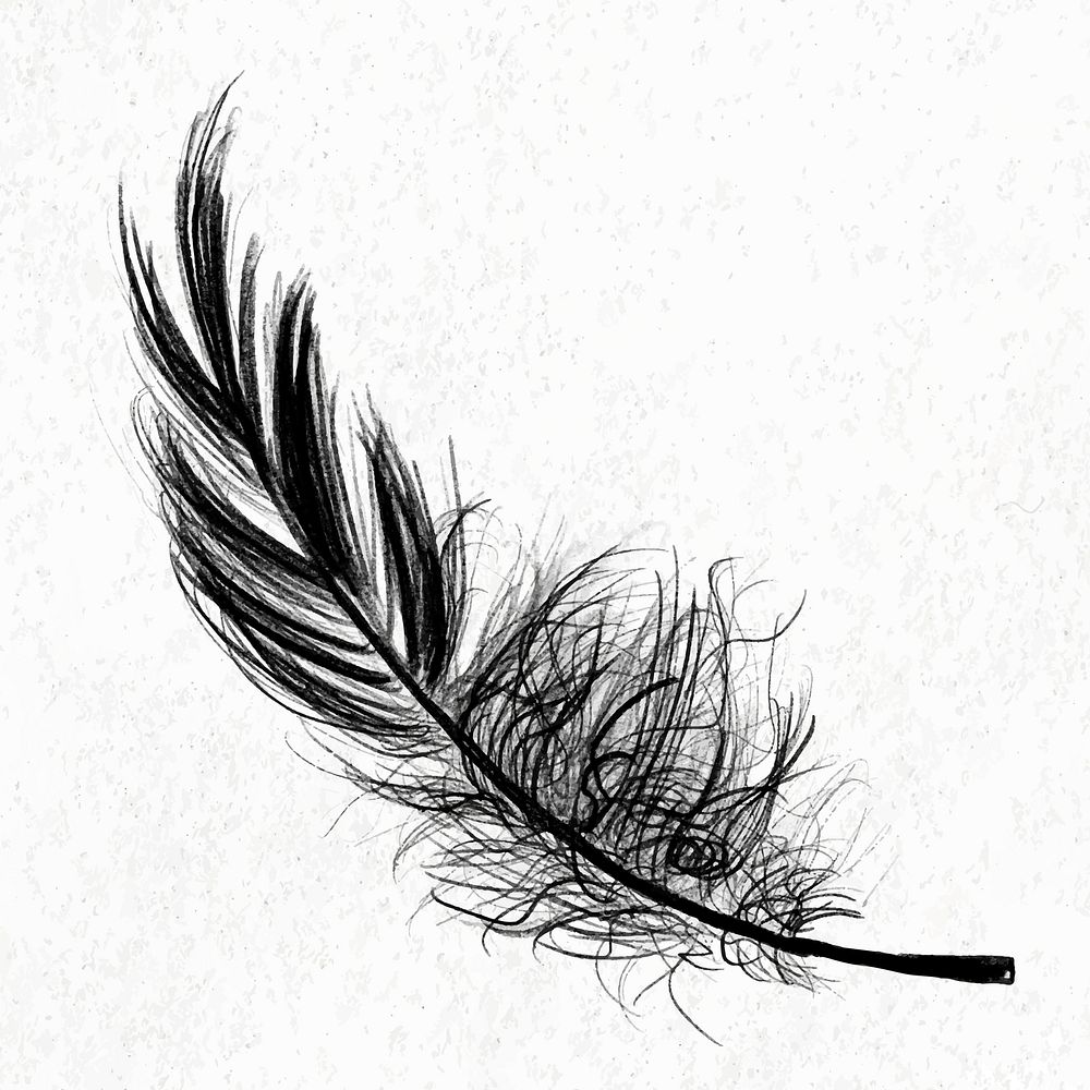 Black bird feather element vector 