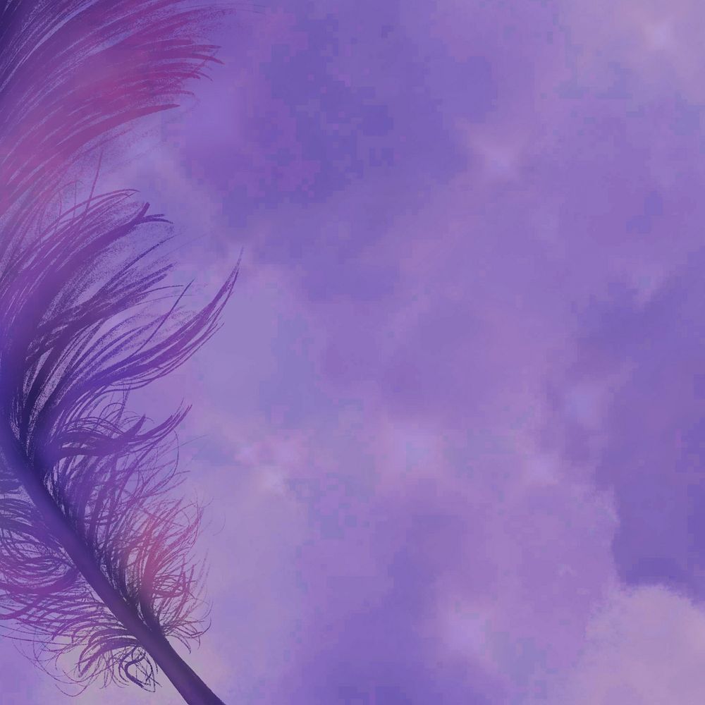 Realistic feather on purple background