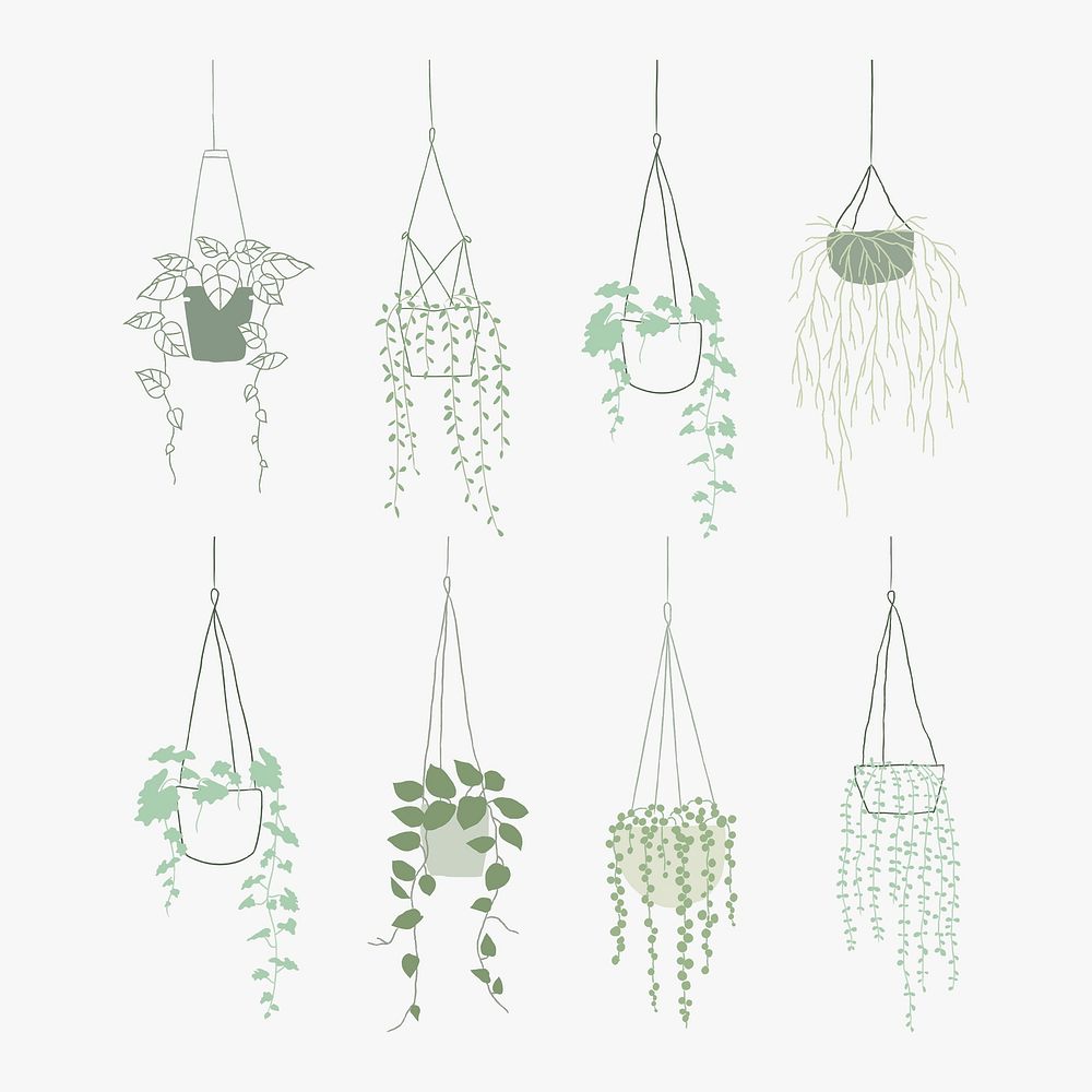 Simple green hanging plant psd set
