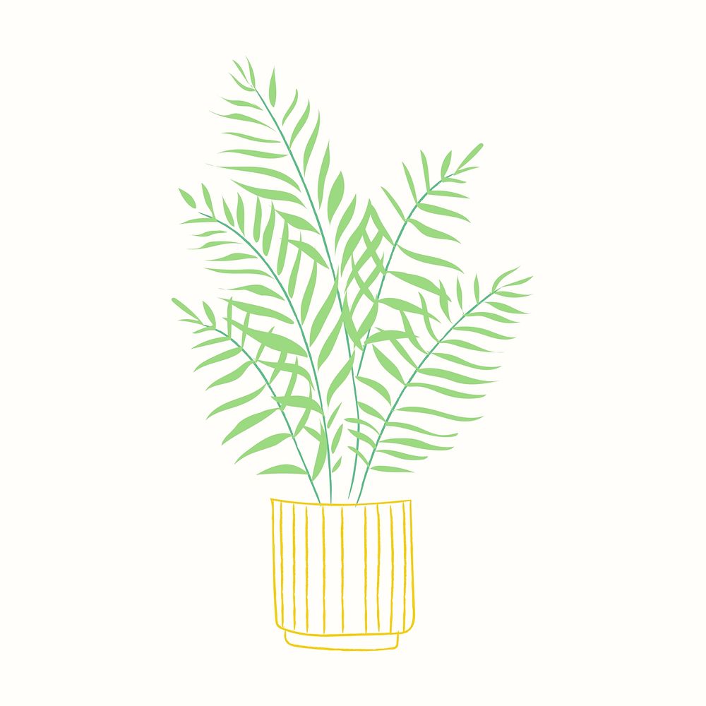 Potted plant psd houseplant golden cane palm