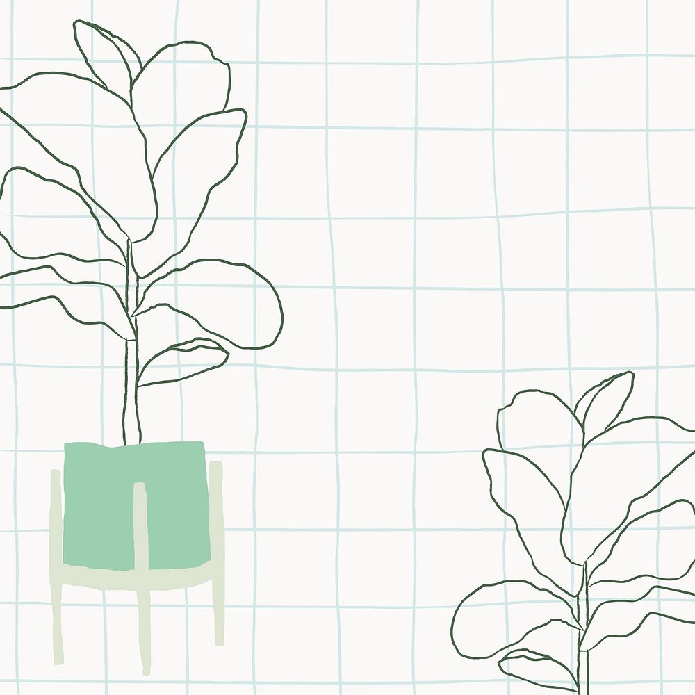 Hand drawn houseplant vector in grid background