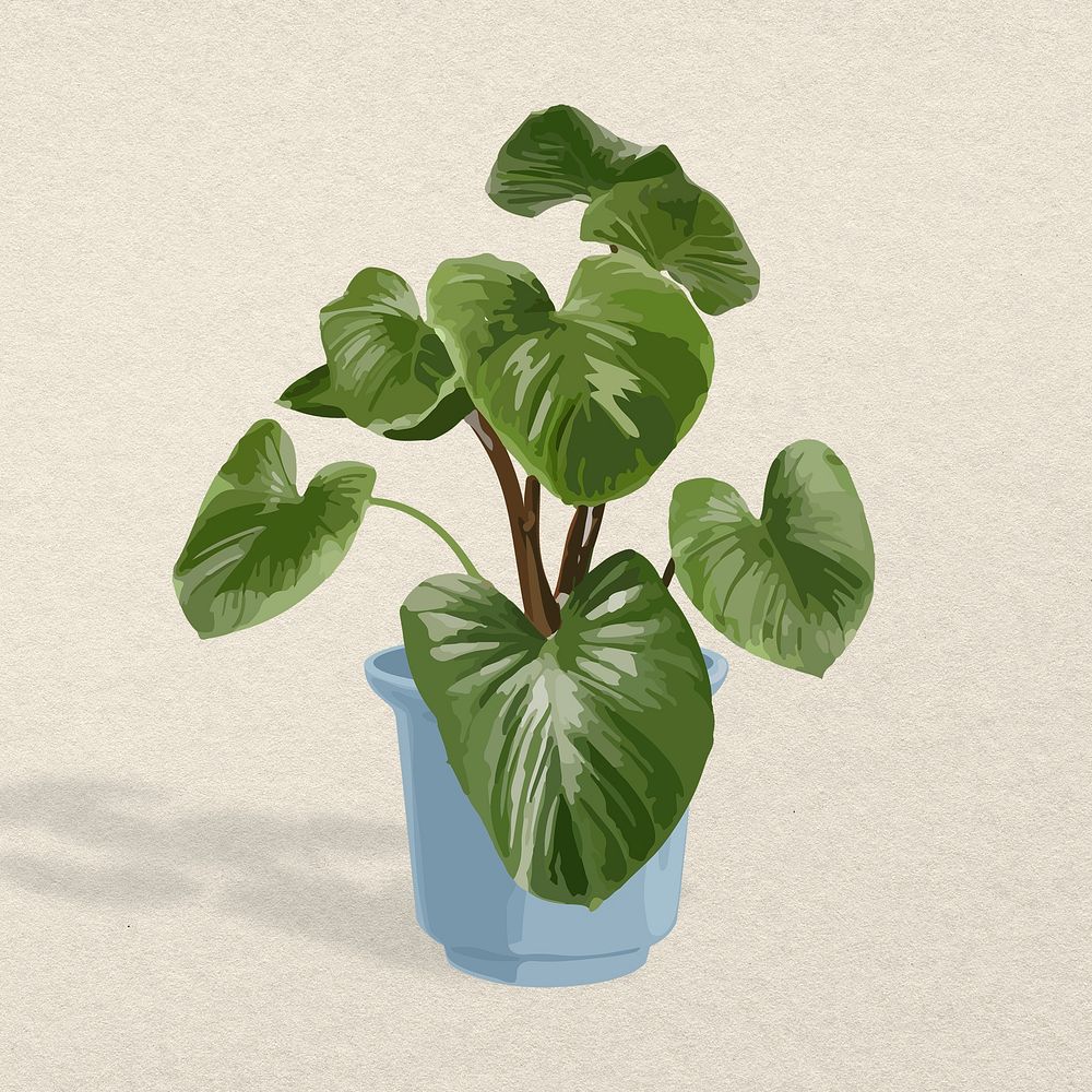 Plant psd image, Philodendron melanoneuron potted home interior decoration