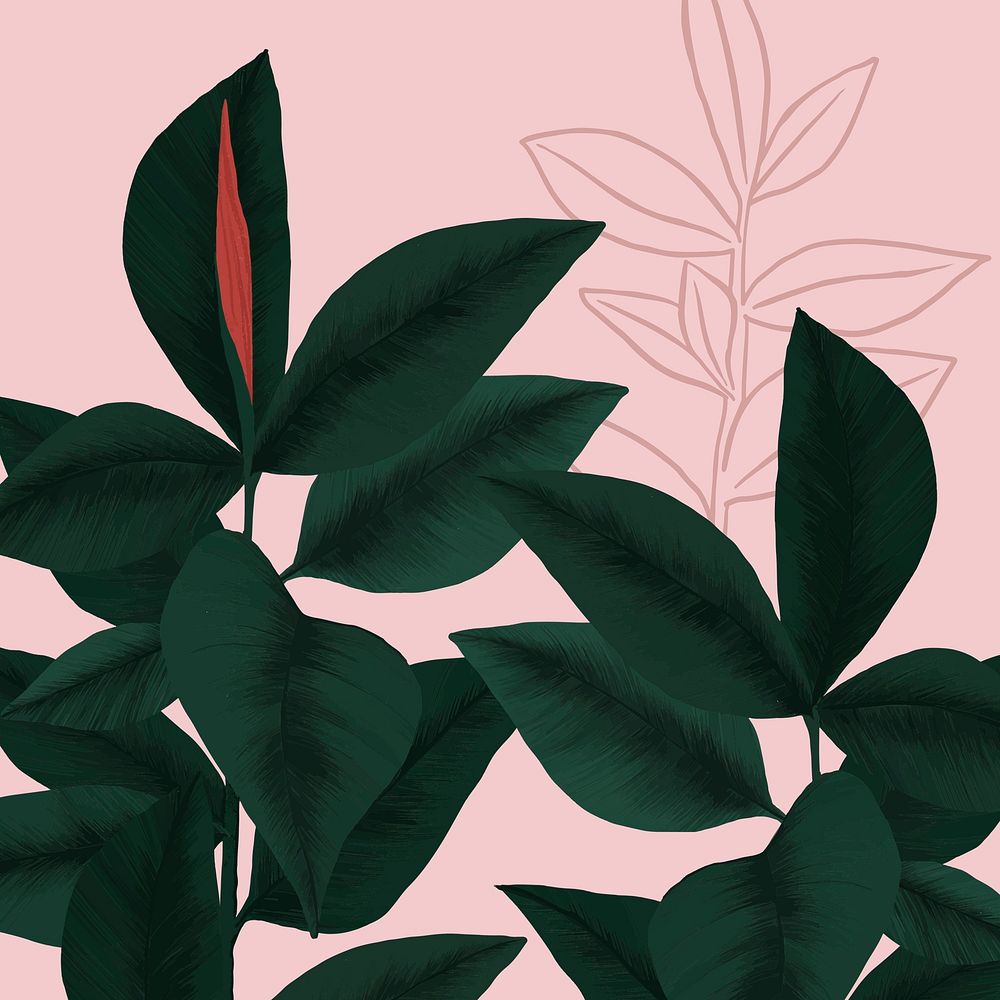 Houseplant background vector rubber plant illustration