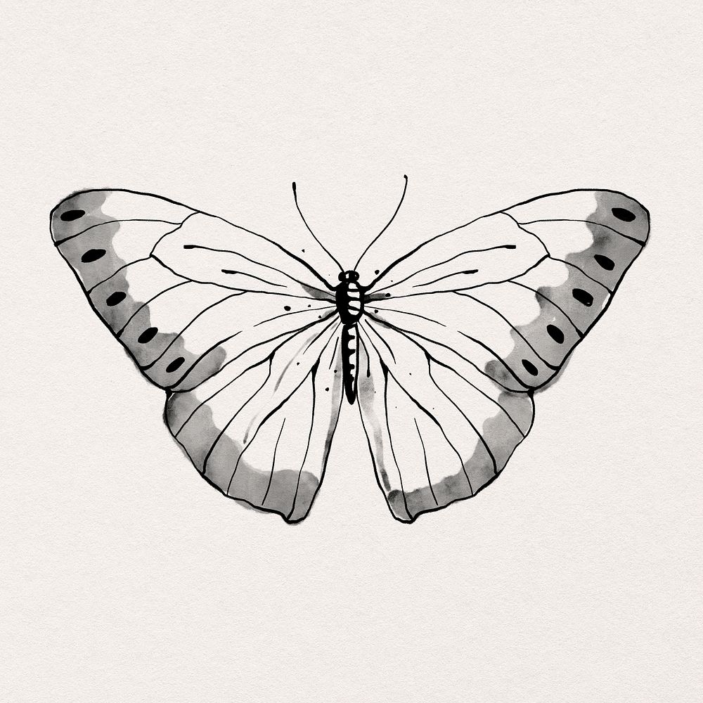 Ink line butterfly psd sticker illustration