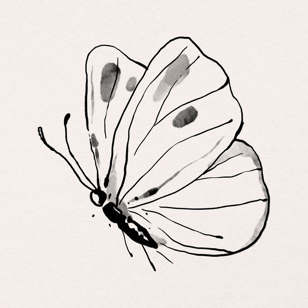 Ink line butterfly psd sticker illustration