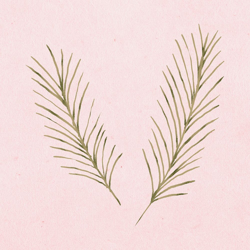 Pine leaves doodle, Christmas hand drawn, cute winter holidays illustration