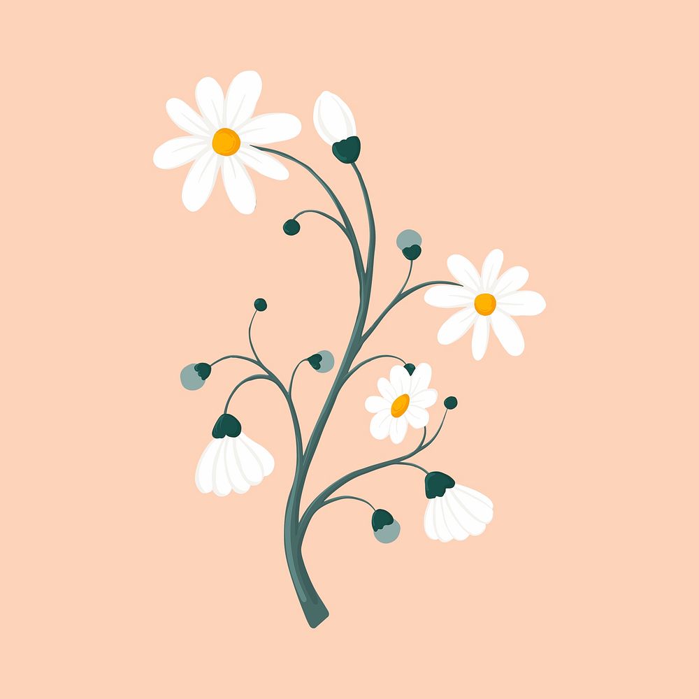 Daisy flower sticker, aesthetic feminine illustration psd
