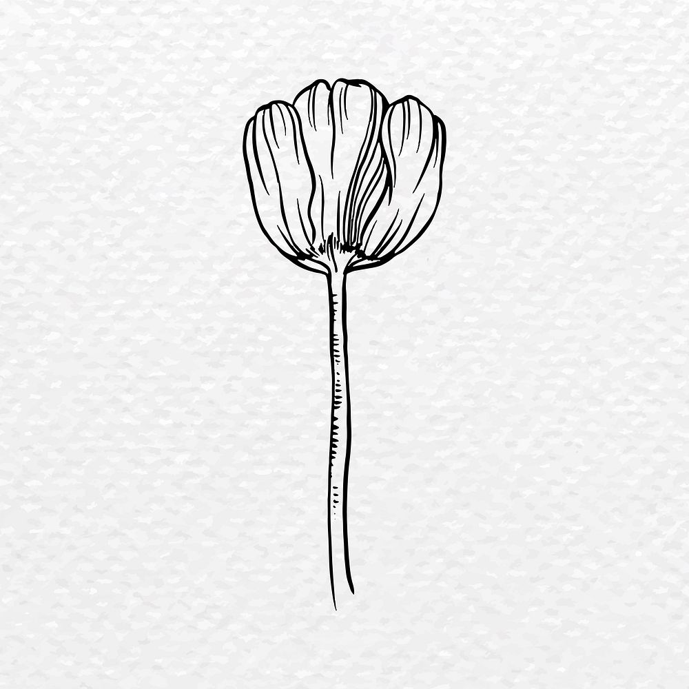 Vintage tulip flower tattoo art, black botanical illustration vector