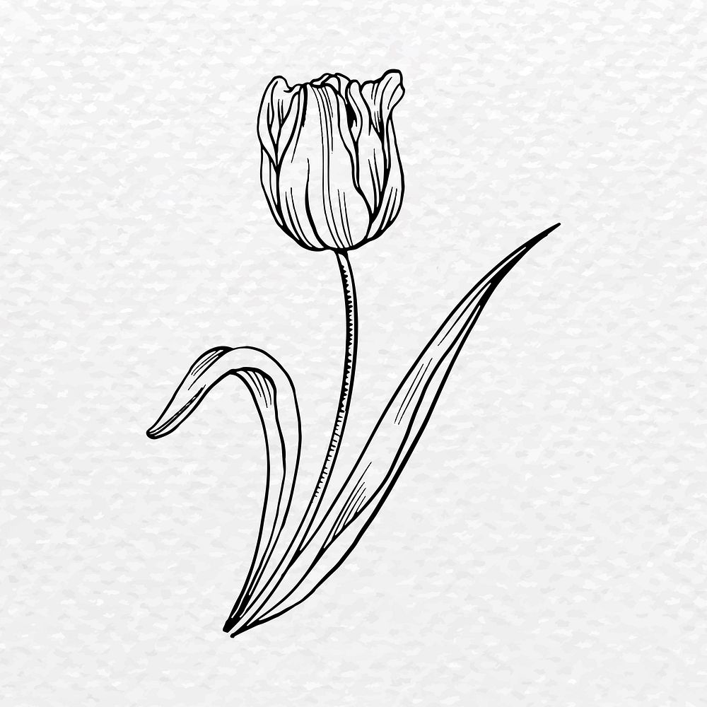 Tulip flower sticker, black vintage botanical illustration vector