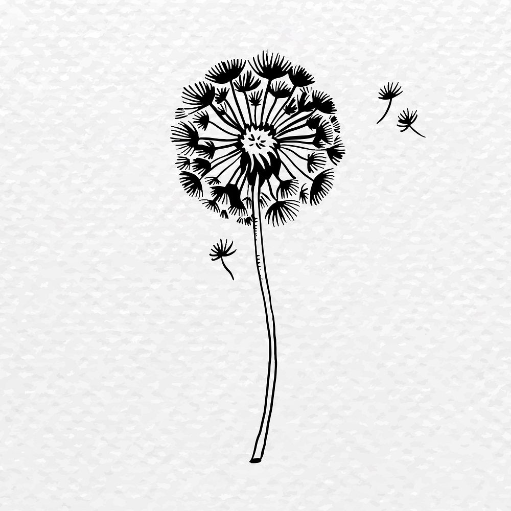 Dandelion flower tattoo art, black vintage illustration vector