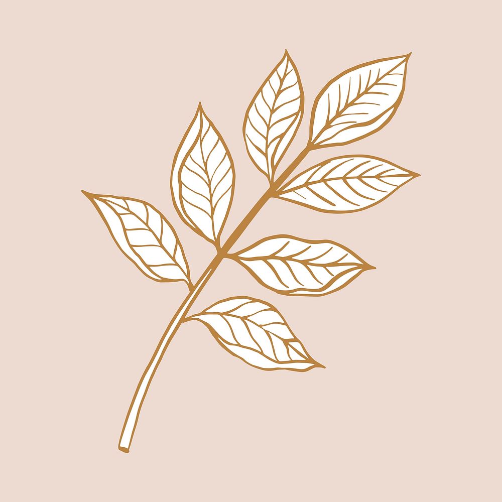 Brown leaf clipart, vintage botanical illustration