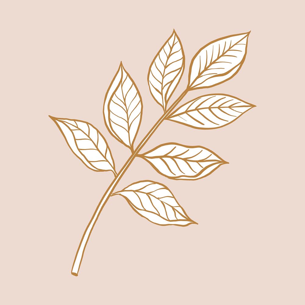 Brown leaf sticker, vintage botanical illustration psd