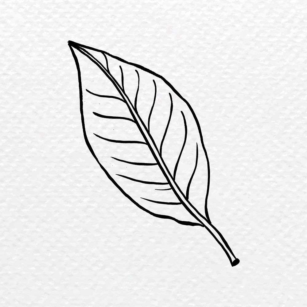 Cute leaf wrap 🌿 #naturetattoo #fineline #finelinetattoo #linetattoo... |  TikTok