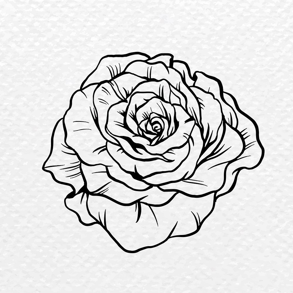 Vintage rose flower tattoo art, black botanical illustration
