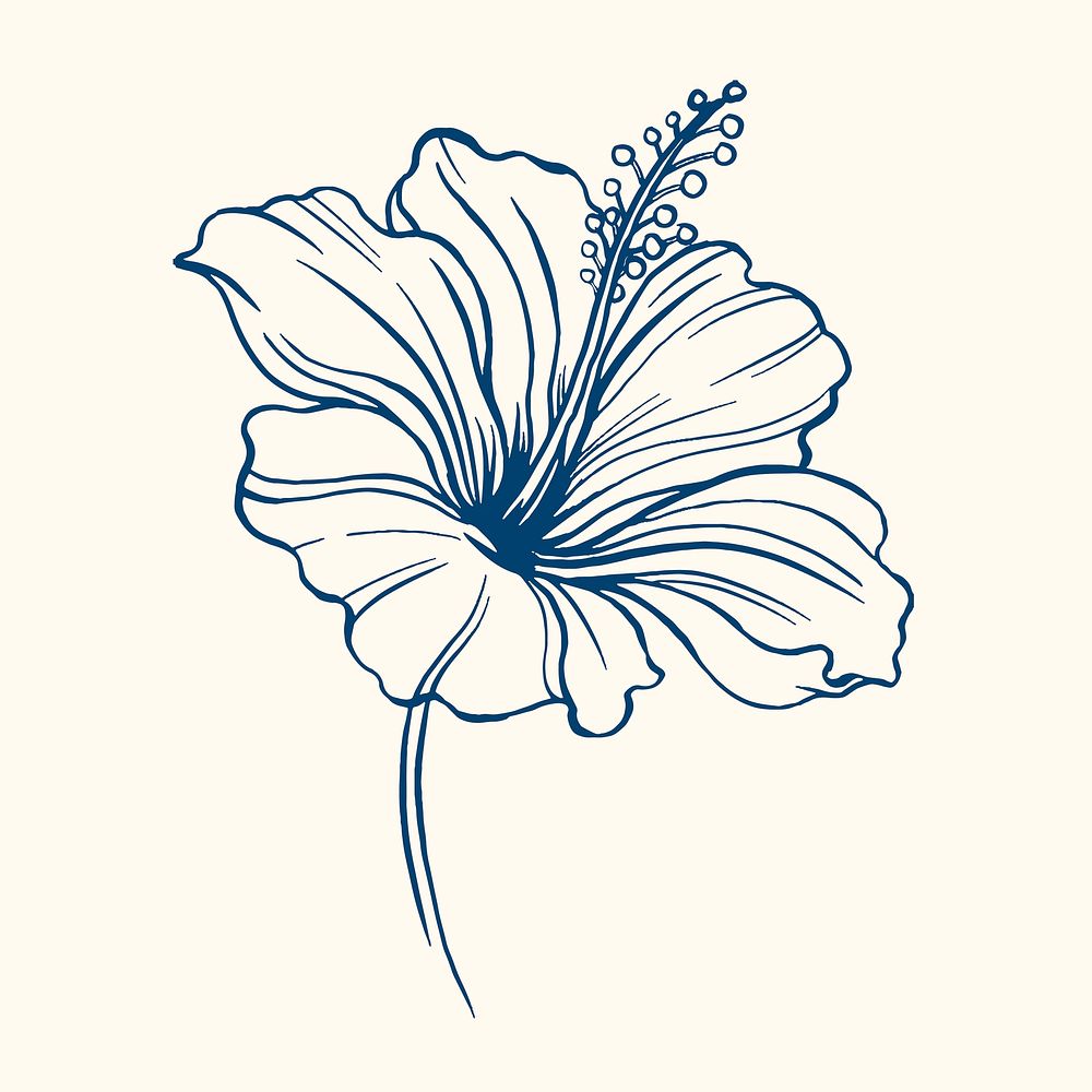 Hibiscus flower clipart, blue vintage botanical illustration