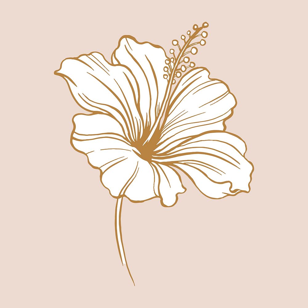 Vintage hibiscus flower tattoo art, brown botanical illustration