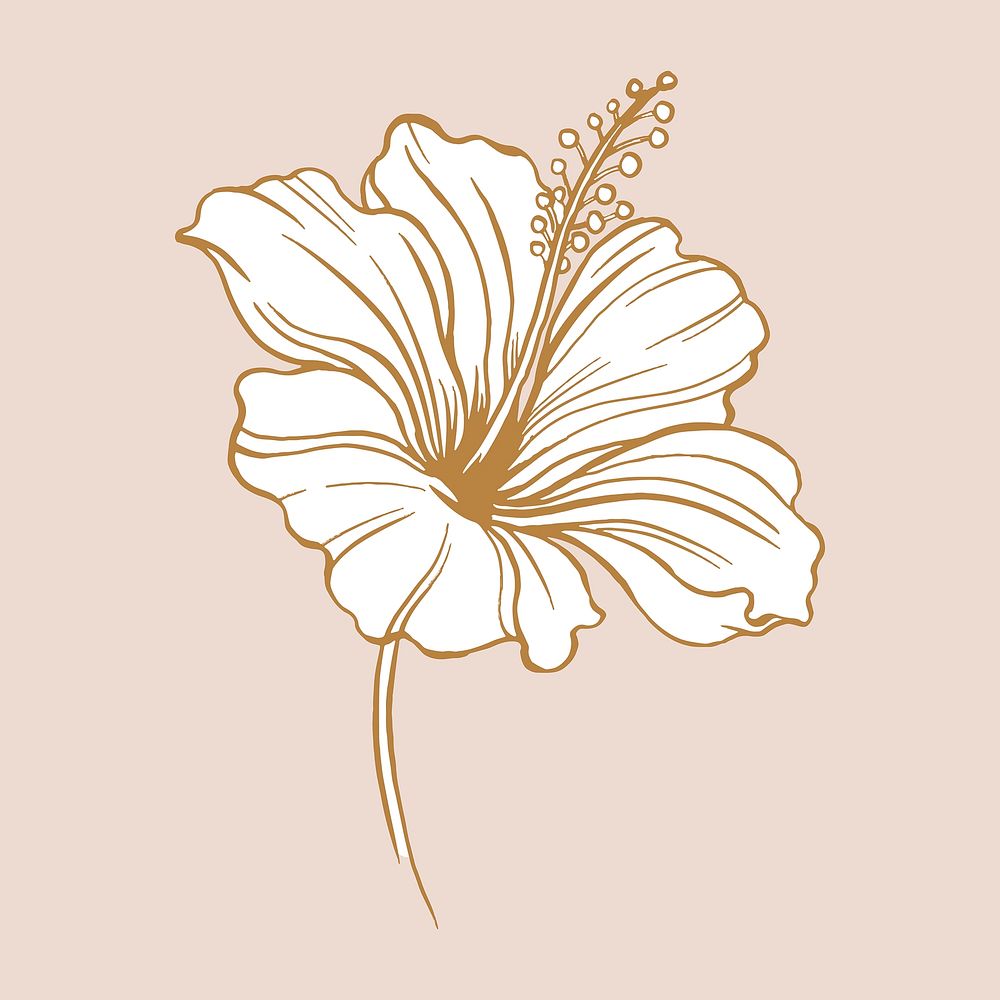 Hibiscus flower sticker, brown vintage botanical illustration vector
