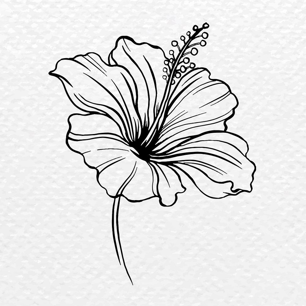 Vintage hibiscus flower tattoo art, black botanical illustration vector