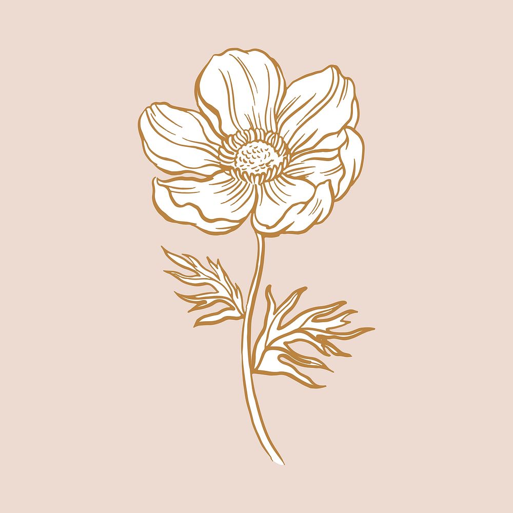 Anemone flower collage element, brown botanical clipart vector