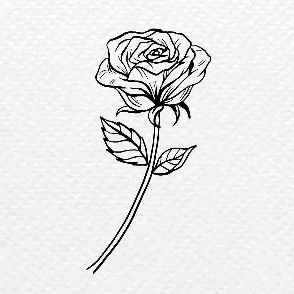 Vintage rose flower tattoo art, blue botanical illustration
