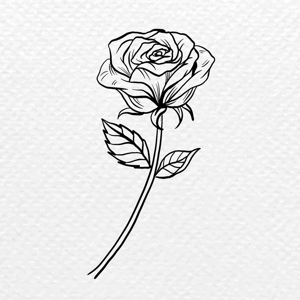 Vintage rose flower tattoo art, black botanical illustration psd