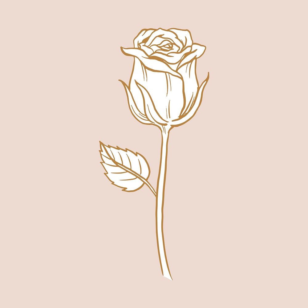 Vintage rose flower tattoo art, brown botanical illustration vector
