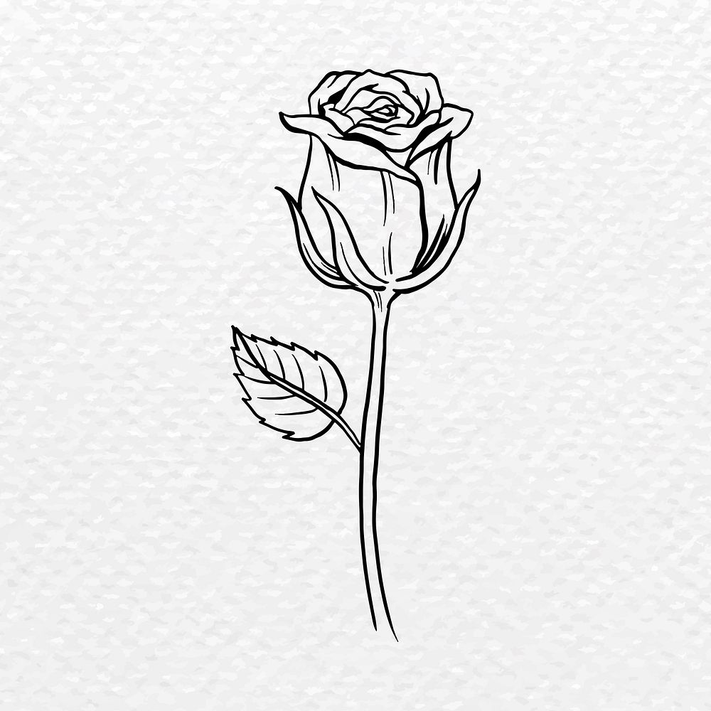 Vintage rose flower tattoo art, black botanical illustration vector