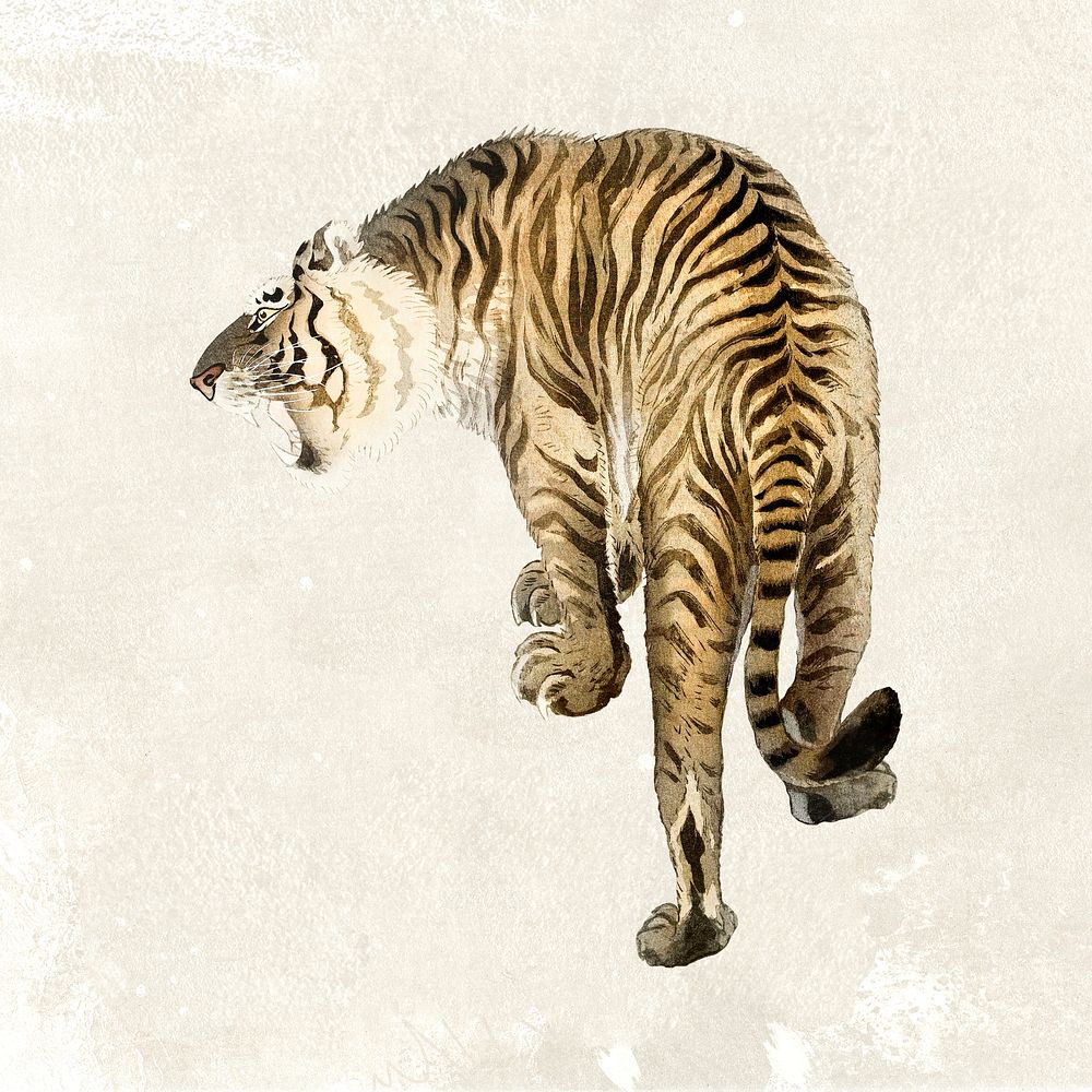 Roaring tiger clipart, animal realistic illustration, remixed from artworks by Ohara Koson