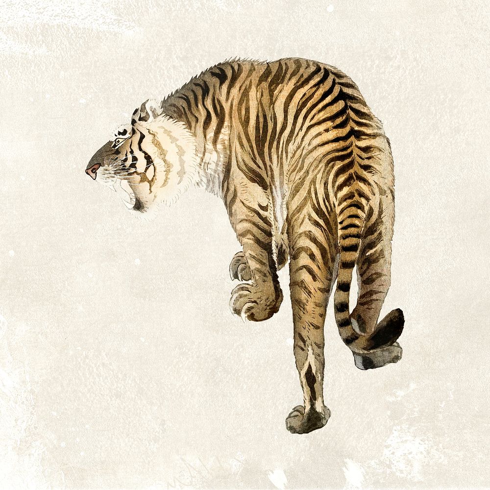 Roaring tiger sticker, animal realistic illustration psd, remixed from artworks by Ohara Koson